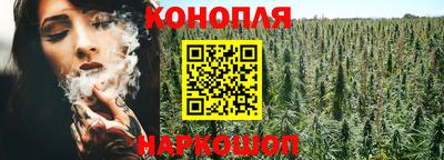 мет Можга