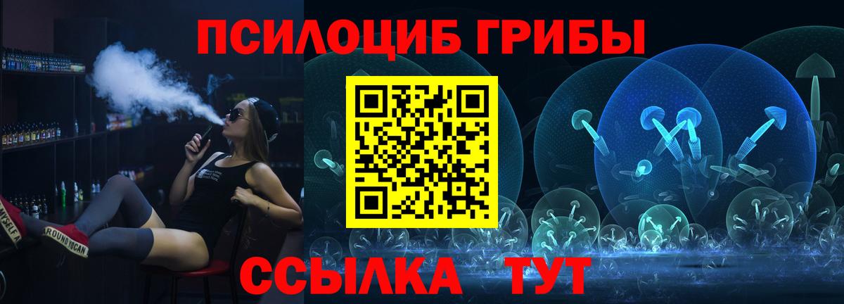 Алатырь  Галлюциногенные грибы Psilocybe  Вход с VPN 
